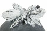 Polished Free-Standing Chrysanthemum Stone - China #352119-2